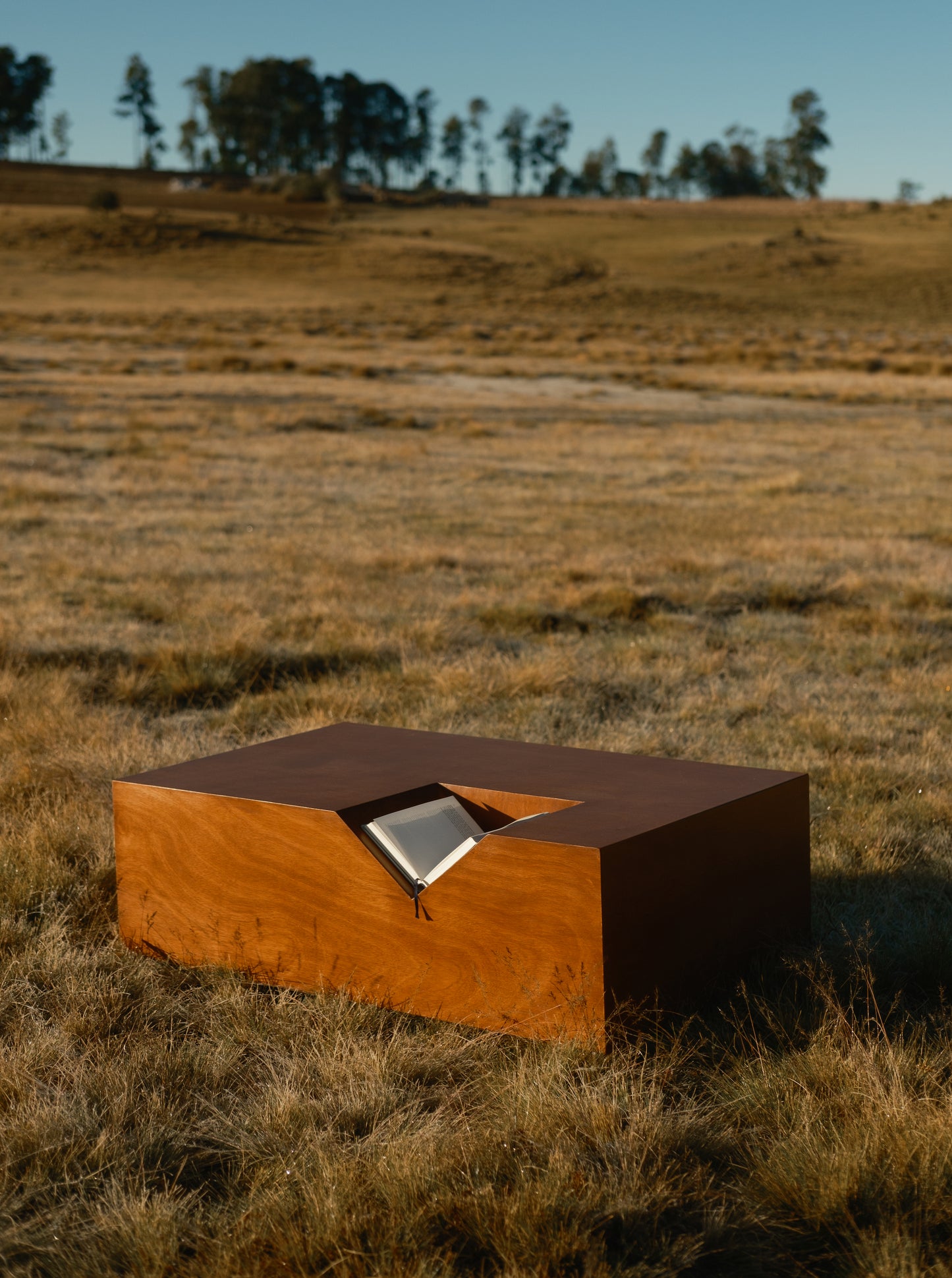 Mesa de centro de libro